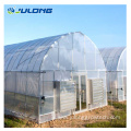 low cost vegetable greenhouses for sale